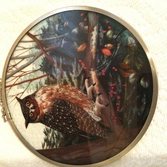 glass Owl hanging suncatcher round 16cm diameter - Picture 8 of 8